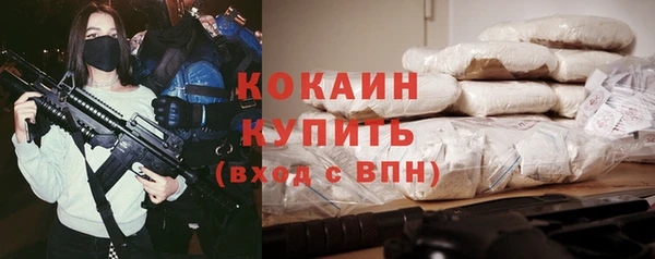 гашик Нея