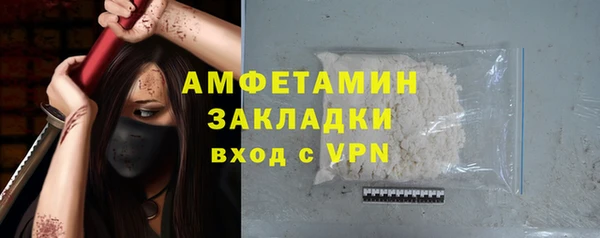 гашик Нея