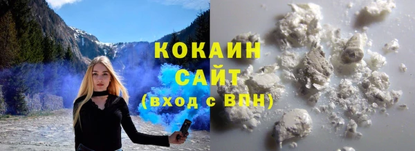 гашик Нея